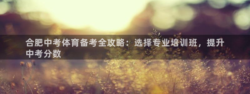 尊龙目前在哪：合肥中考体育备考全攻略：选择专业培训班