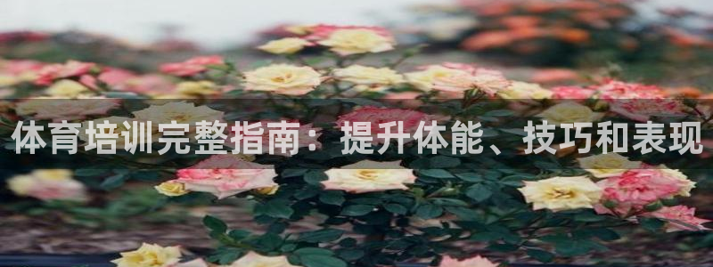 尊龙人生就是-首页(中国)有限公司：体育培训完整指南