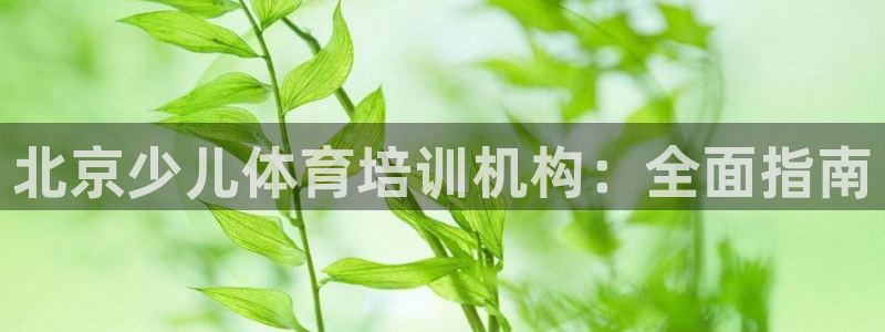 凯时官网手机版首页：北京少儿体育培训机构：全面指南
