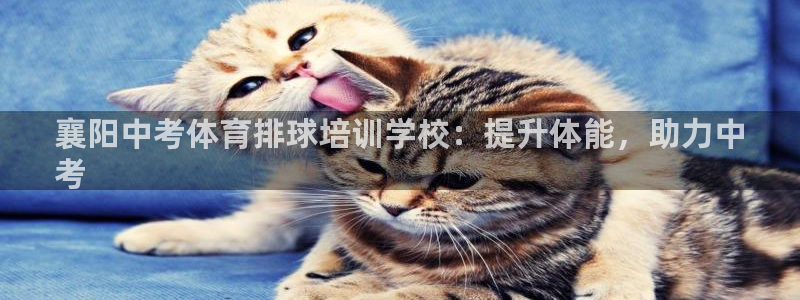 尊龙登录会员登录：襄阳中考体育排球培训学校：提升体能