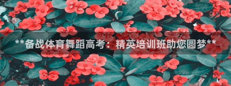 尊龙网页：**备战体育舞蹈高考：精英培训班助您圆梦*