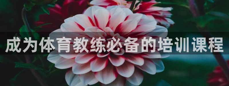 尊龙凯时人生就是搏!平台：成为体育教练必备的培训课程