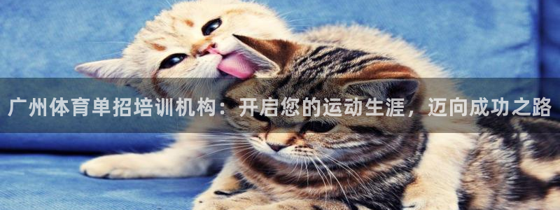 尊龙凯时官网网页版：广州体育单招培训机构：开启您的运