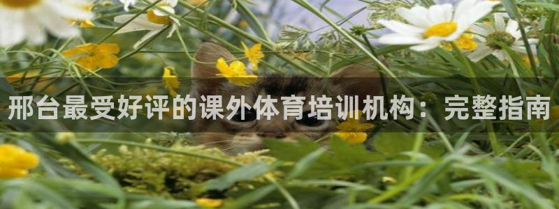 尊龙2020：邢台最受好评的课外体育培训机构：完整指