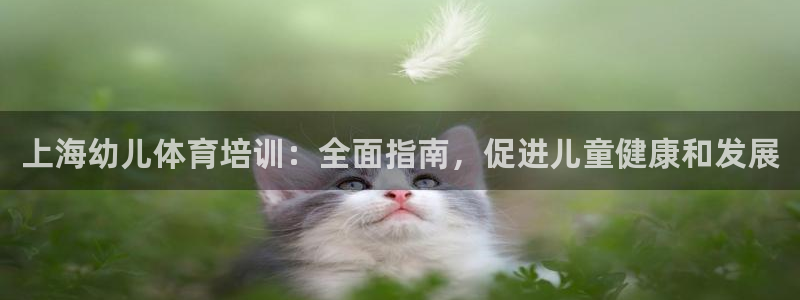 尊龙凯时代理：上海幼儿体育培训：全面指南，促进儿童健