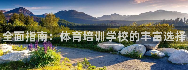 尊龙凯时是大平台吗：全面指南：体育培训学校的丰富选择