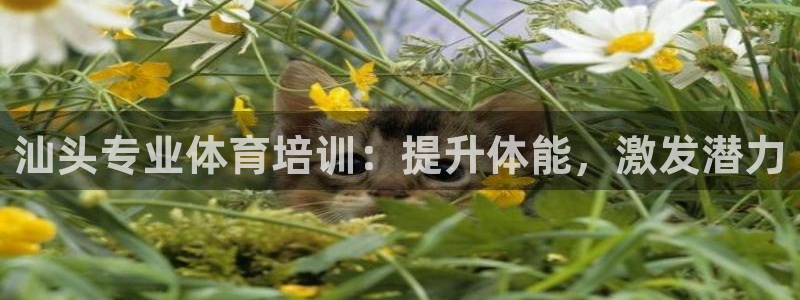 凯时官网手机版下载：汕头专业体育培训：提升体能，激发