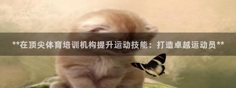 尊龙凯时人生就是搏平台：**在顶尖体育培训机构提升运