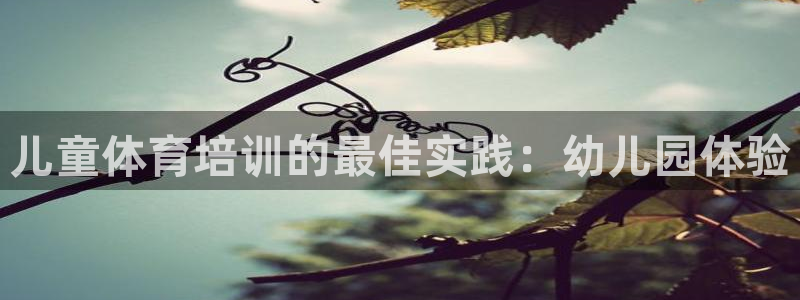 尊龙人生就是博登录首页：儿童体育培训的最佳实践：幼儿