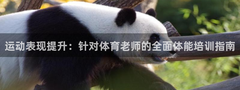 尊龙AG发财网：运动表现提升：针对体育老师的全面体能