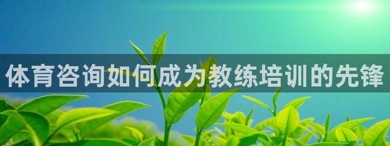 尊龙凯时百万奖池：体育咨询如何成为教练培训的先锋