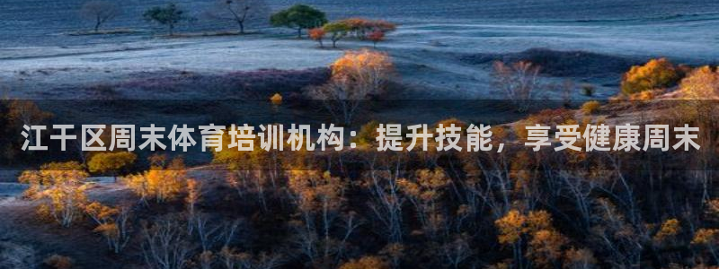 尊龙人生就是博官：江干区周末体育培训机构：提升技能，