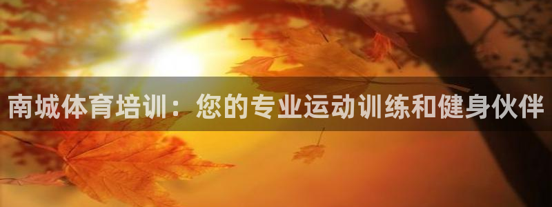 尊龙凯时是直营吗：南城体育培训：您的专业运动训练和健