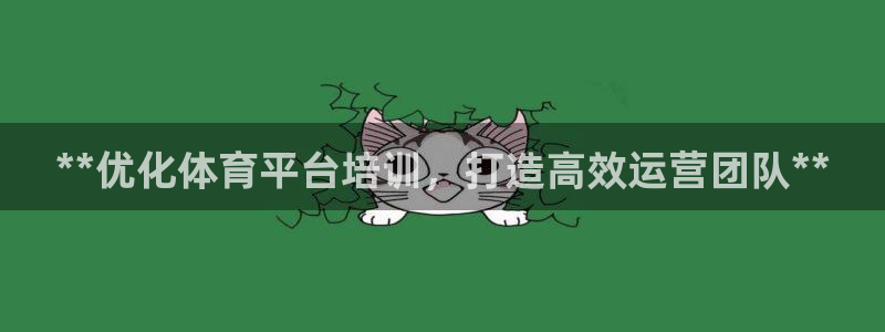 尊龙凯时网站是什么地方人开的：**优化体育平台培训，