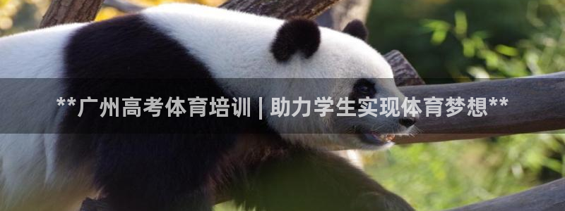 尊龙凯时官网网址：**广州高考体育培训 | 助力学生