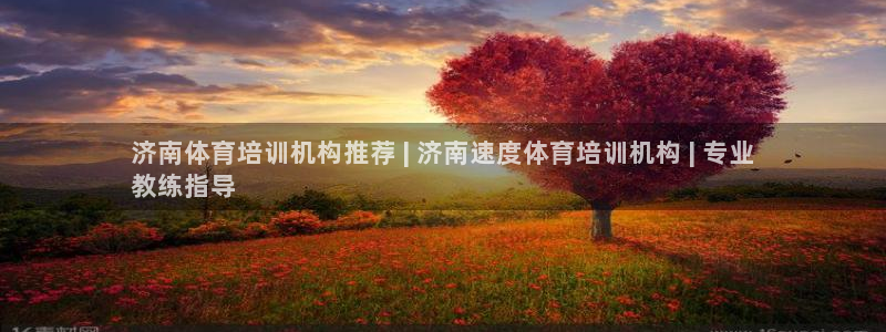 尊龙集团有限公司官网：济南体育培训机构推荐 | 济南