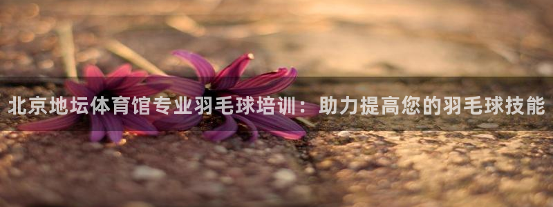 尊龙凯时公司官网：北京地坛体育馆专业羽毛球培训：助力