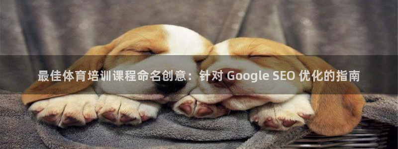 尊龙官网首页：最佳体育培训课程命名创意：针对 Goo
