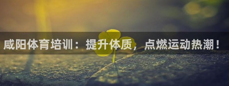 尊龙凯时台子：咸阳体育培训：提升体质，点燃运动热潮！