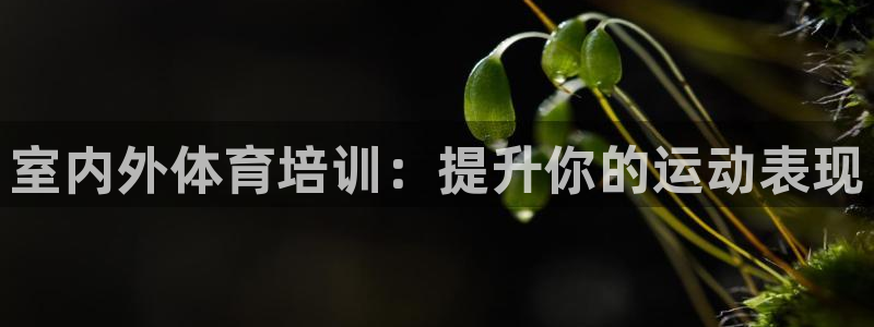 尊龙凯时平台还是万博好：室内外体育培训：提升你的运动