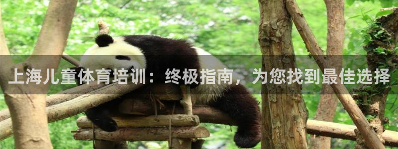 尊龙凯时人生就是搏平台：上海儿童体育培训：终极指南，
