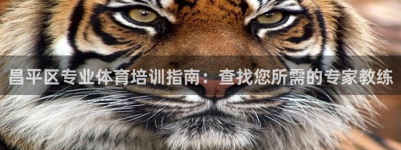 尊龙得过奥斯卡吗：昌平区专业体育培训指南：查找您所需