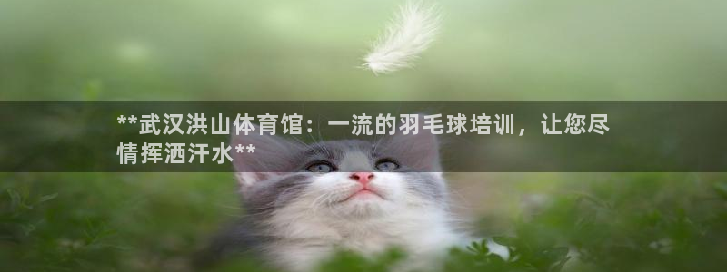 尊龙凯时官方网站：**武汉洪山体育馆：一流的羽毛球培