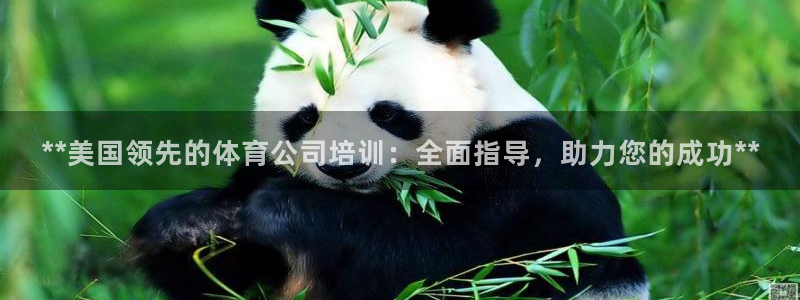 z6com尊龙凯时：**美国领先的体育公司培训：全面
