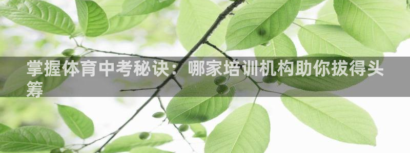 尊龙人生就是博d88官方网站：掌握体育中考秘诀：哪家
