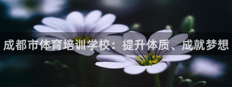 凯时官网手机版首页：成都市体育培训学校：提升体质、成