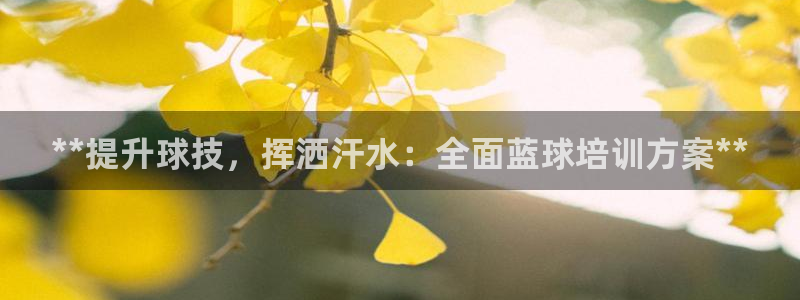 尊龙人生就是博l：**提升球技，挥洒汗水：全面蓝球培