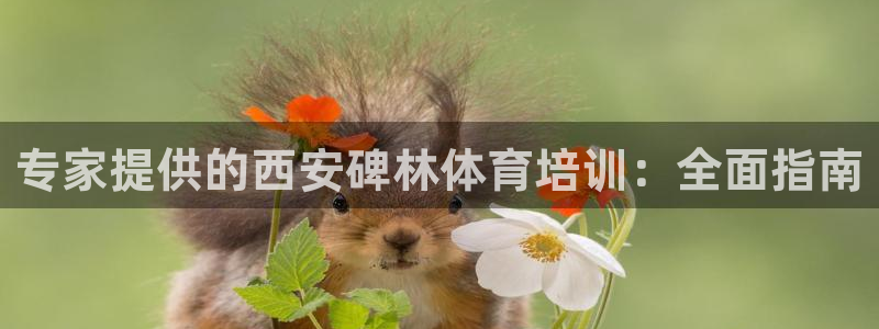 尊龙这个平台怎么样：专家提供的西安碑林体育培训：全面
