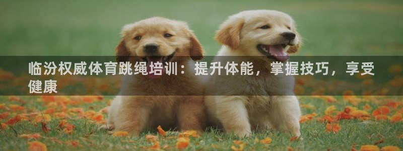 尊龙165：临汾权威体育跳绳培训：提升体能，掌握技巧