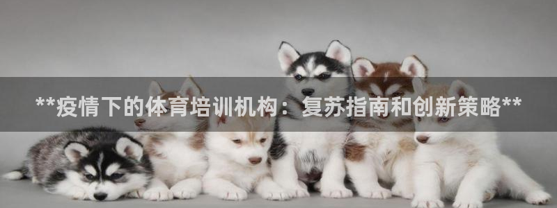 尊龙凯时是大平台吗：**疫情下的体育培训机构：复苏指