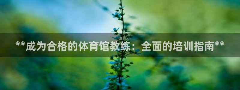 尊龙最近一次露面：**成为合格的体育馆教练：全面的培
