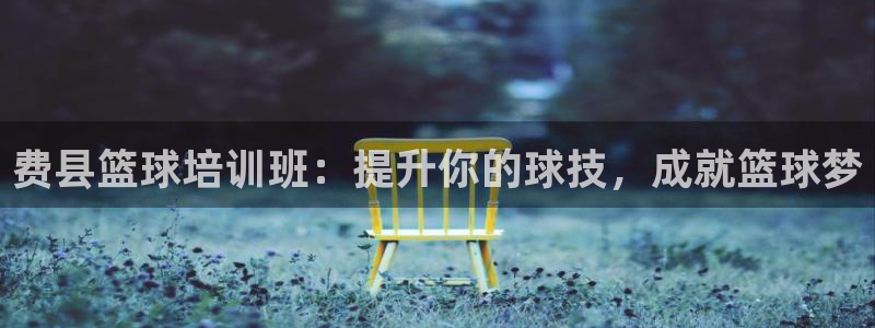 尊龙人生就是博官方官网：费县篮球培训班：提升你的球技