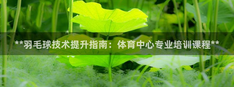 尊龙AG发财网：**羽毛球技术提升指南：体育中心专业
