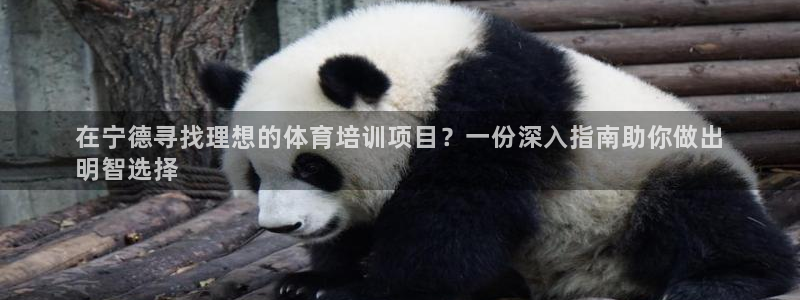 尊龙 中国：在宁德寻找理想的体育培训项目？一份深入指