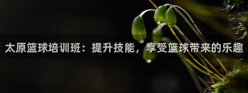 K66凯时国际平台官网：太原篮球培训班：提升技能，享