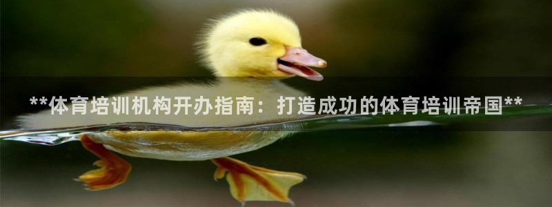 尊龙凯时下载官方正版：**体育培训机构开办指南：打造