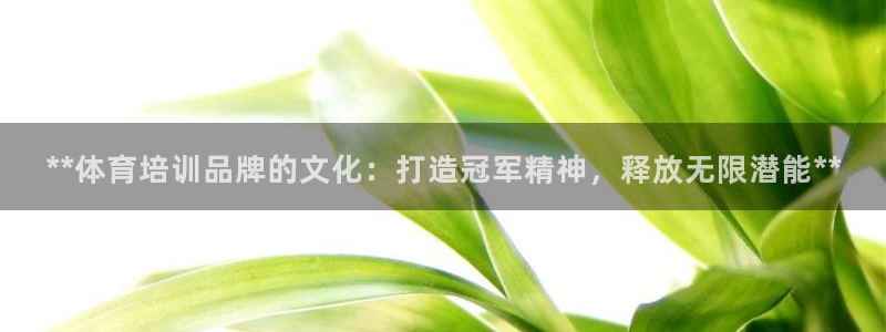 尊龙凯时人生就是搏·(中国)官网：**体育培训品牌的