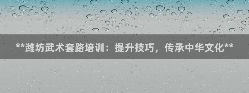 尊龙凯时网页版：**潍坊武术套路培训：提升技巧，传承