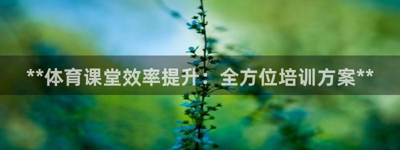 尊龙凯时官网入口：**体育课堂效率提升：全方位培训方
