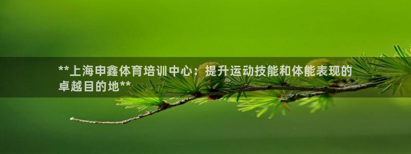 尊龙凯时平台正规吗：**上海申鑫体育培训中心：提升运