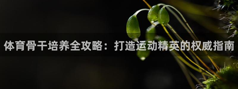 凯时尊龙平台登录：体育骨干培养全攻略：打造运动精英的