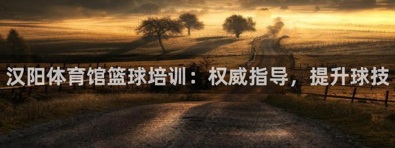 尊龙实业：汉阳体育馆篮球培训：权威指导，提升球技