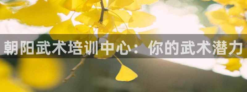 尊龙D88现金旧版：朝阳武术培训中心：你的武术潜力