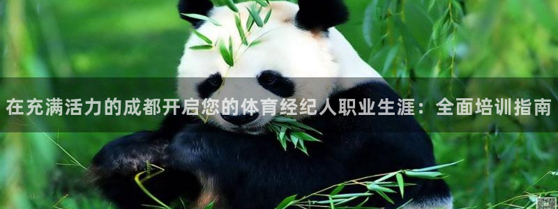 凯时登录：在充满活力的成都开启您的体育经纪人职业生涯