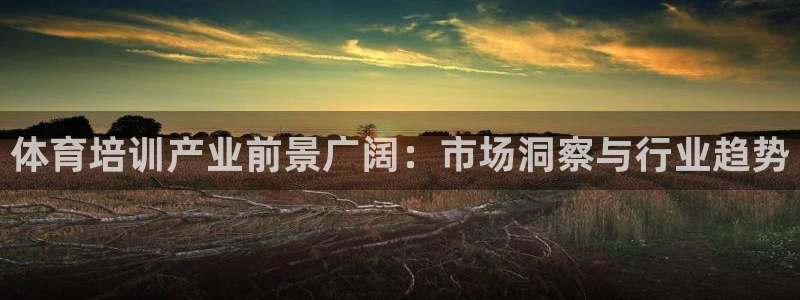 尊龙凯时人生就是搏!官网：体育培训产业前景广阔：市场