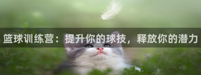 尊龙体育怎么样：篮球训练营：提升你的球技，释放你的潜
